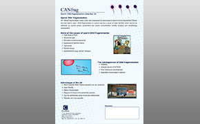 Flayer Design