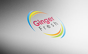 Logo Design